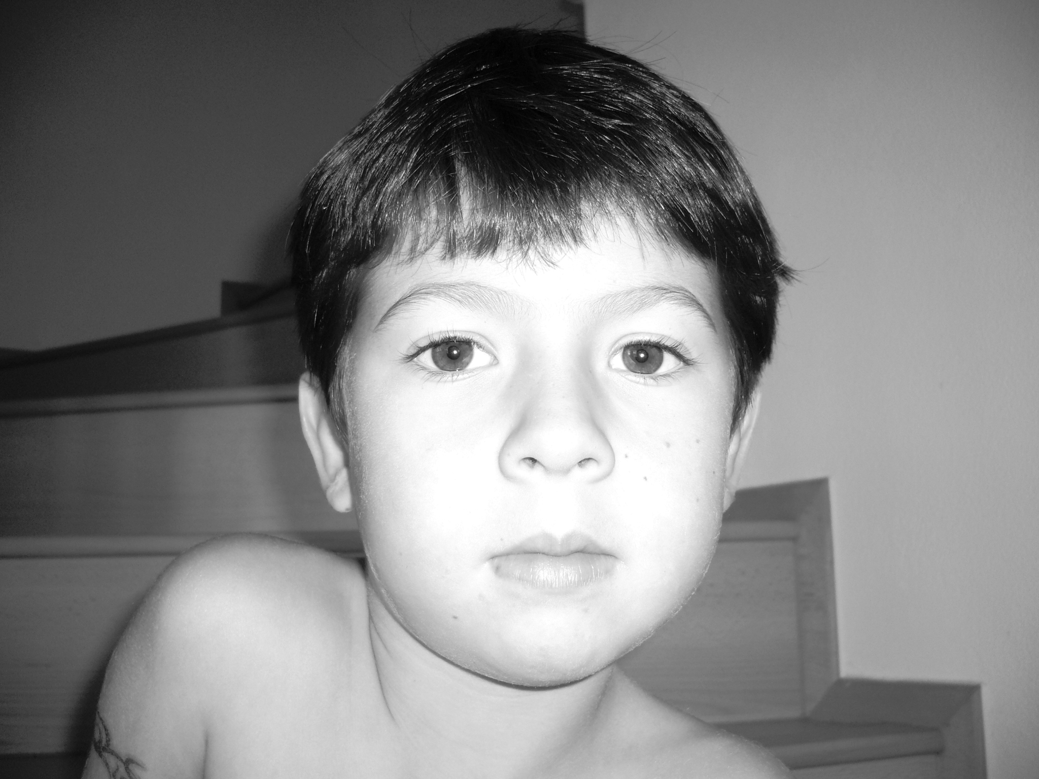 Daneček