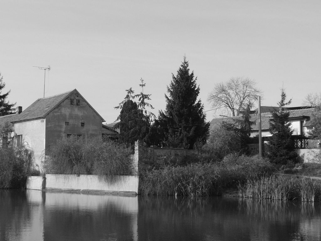 P1030869.JPG